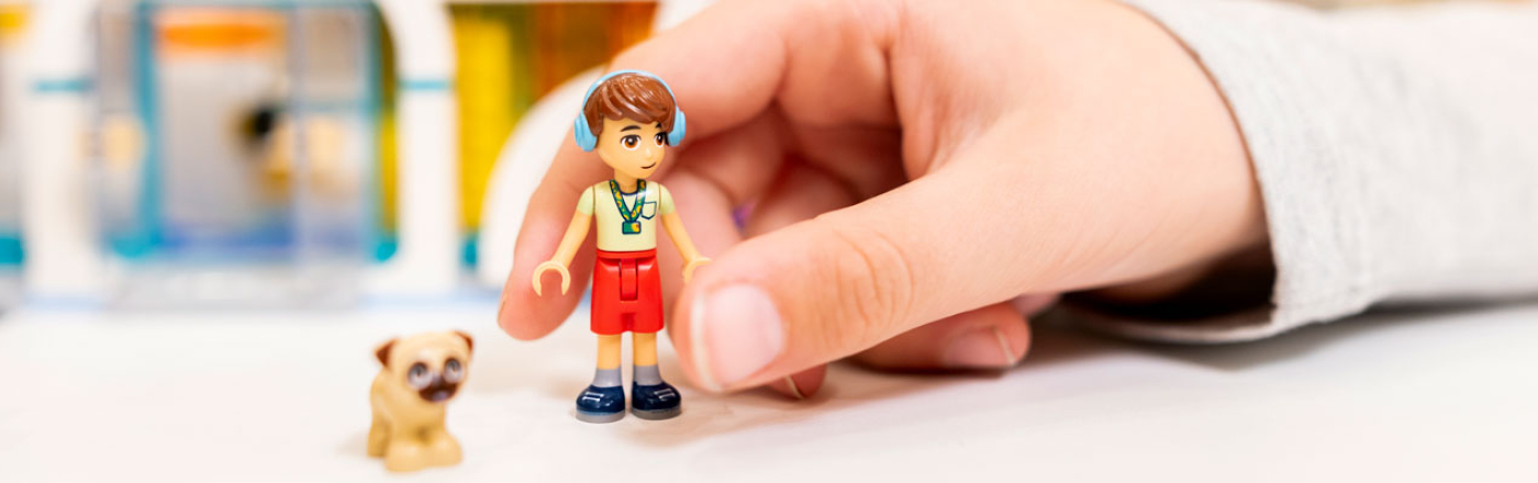 The free LEGO® prize draw