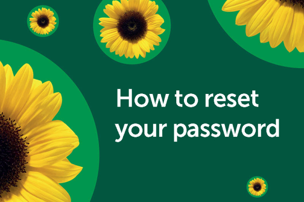 How to reset your password