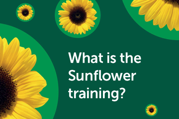 Sunflower training